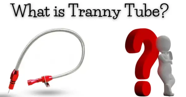 Trany Tube