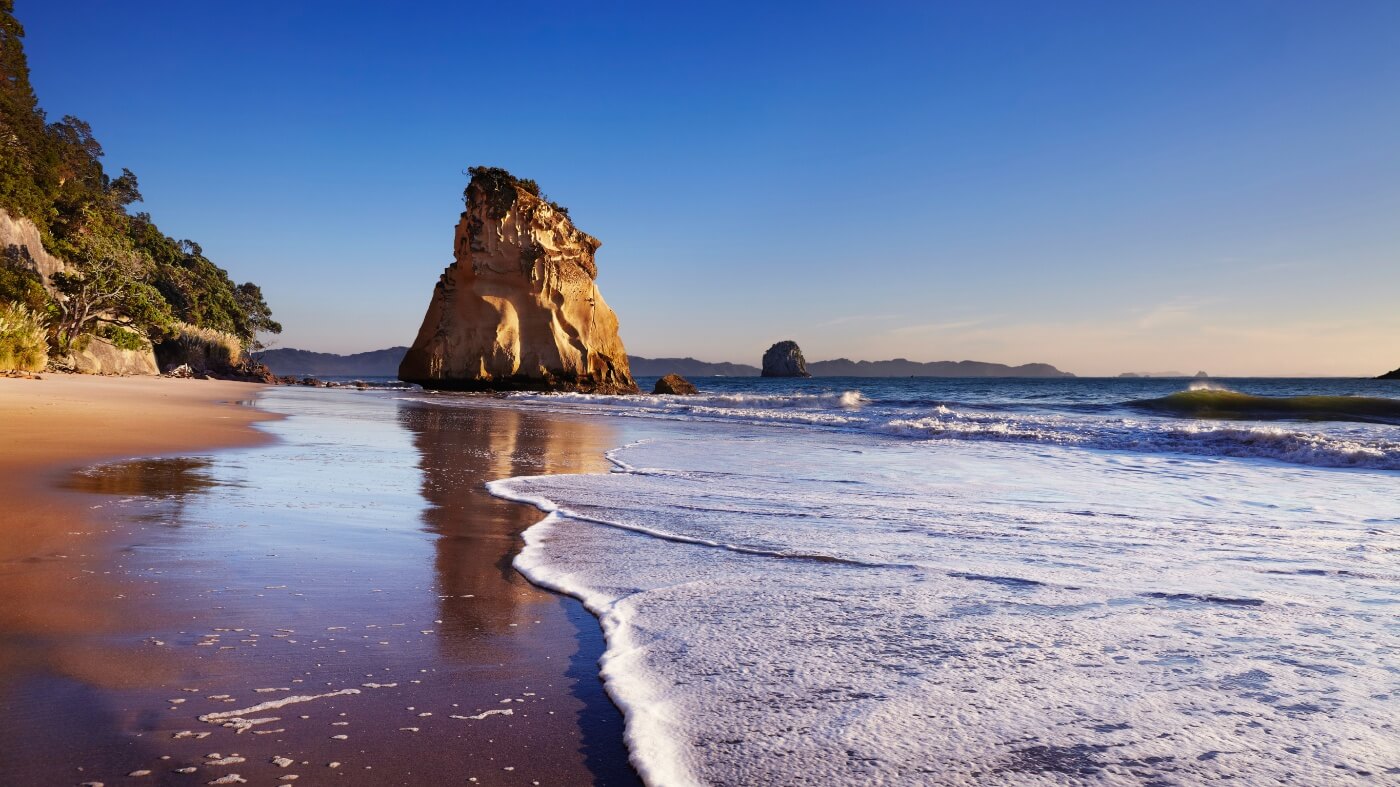 PetFriendly Places To Visit In Auckland Todays Times